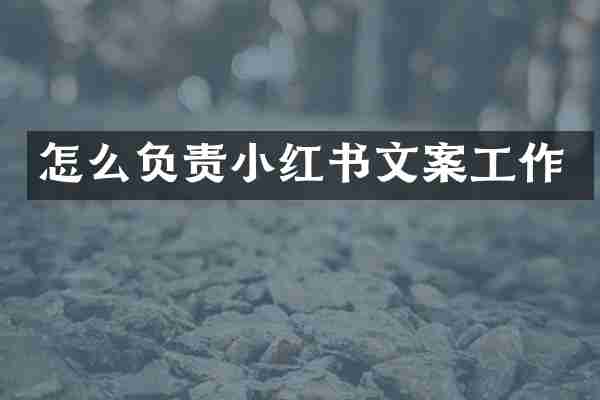 怎么负责小红书文案工作