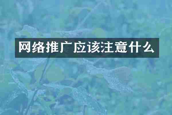 网络推广应该注意什么