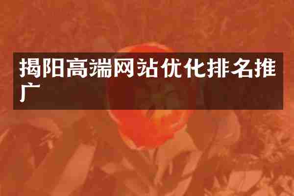 揭阳高端网站优化排名推广