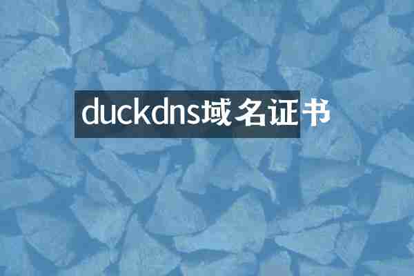 duckdns域名证书