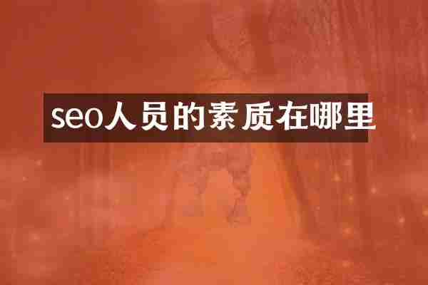 seo人员的素质在哪里