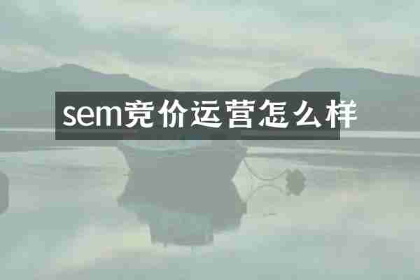 sem竞价运营怎么样