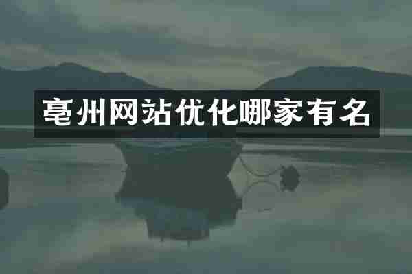 亳州网站优化哪家有名