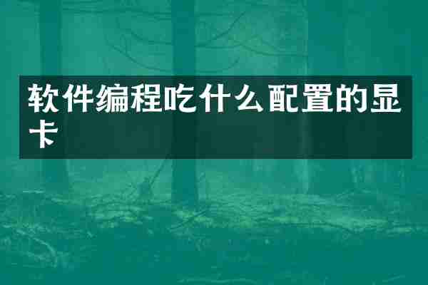 软件编程吃什么配置的显卡