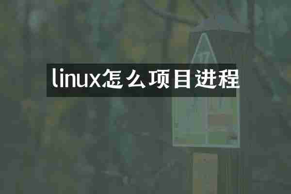 linux怎么项目进程