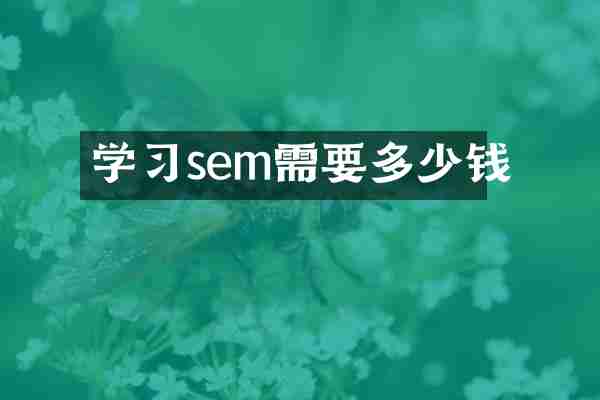 学习sem需要多少钱