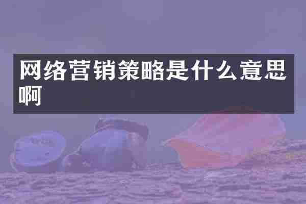 网络营销策略是什么意思啊