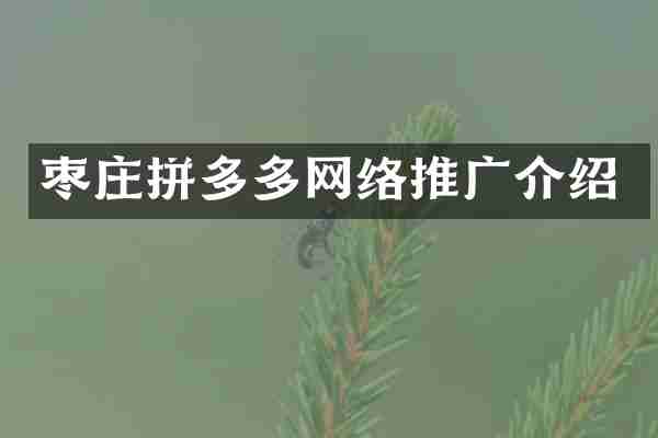 枣庄拼多多网络推广介绍