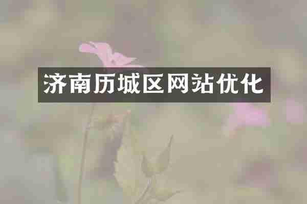 济南历城区网站优化