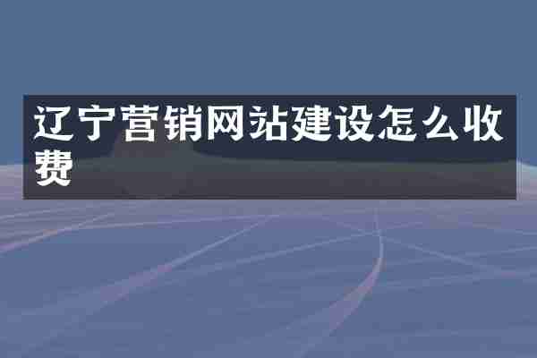 辽宁营销网站建设怎么收费