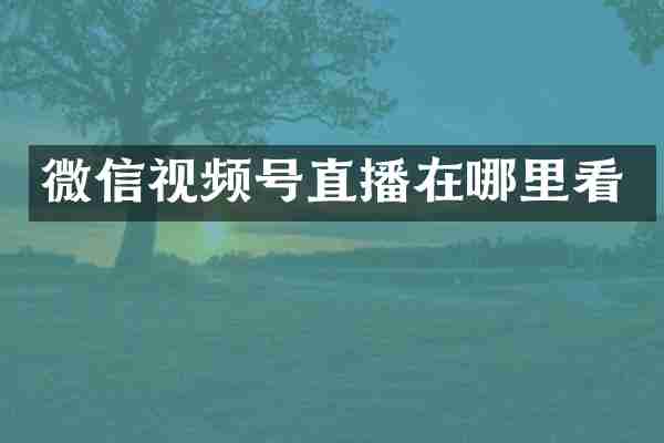 微信视频号直播在哪里看