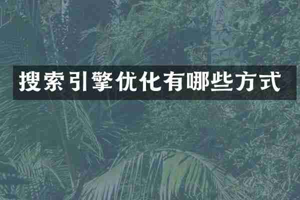 搜索引擎优化有哪些方式