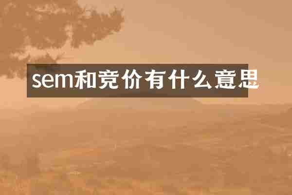 sem和竞价有什么意思