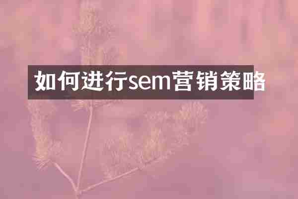 如何进行sem营销策略