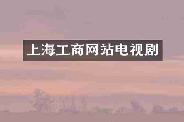 上海工商网站电视剧