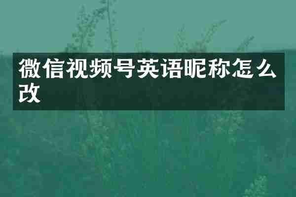 微信视频号英语昵称怎么改