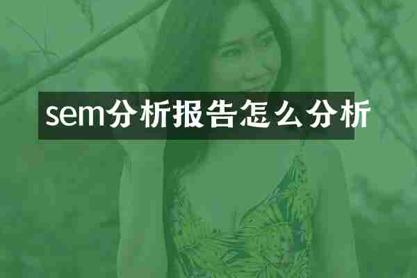 sem分析报告怎么分析