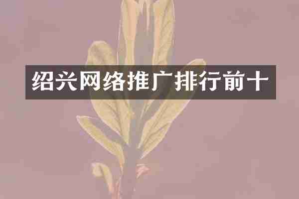 绍兴网络推广排行前十