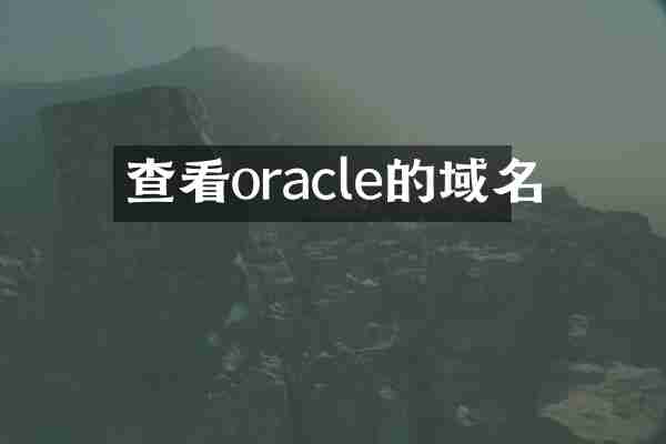 查看oracle的域名