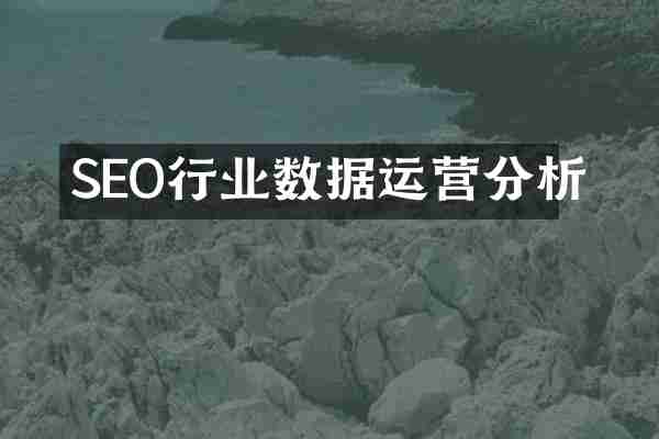 SEO行业数据运营分析