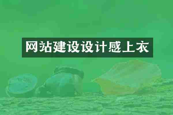 网站建设设计感上衣