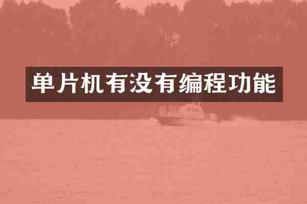 单片机有没有编程功能