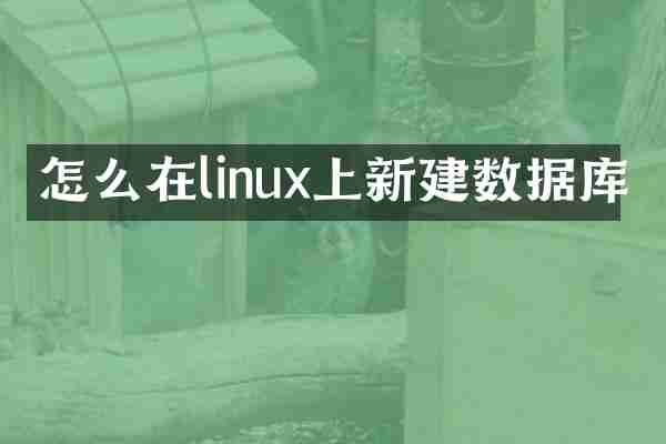 怎么在linux上新建数据库