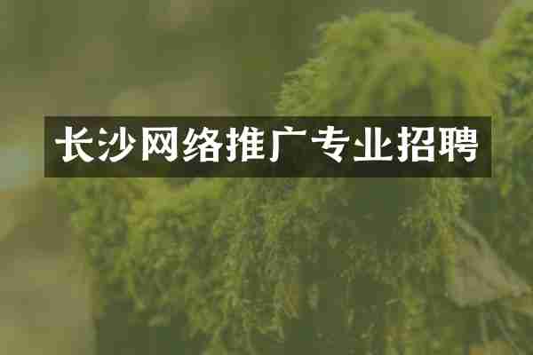 长沙网络推广专业招聘