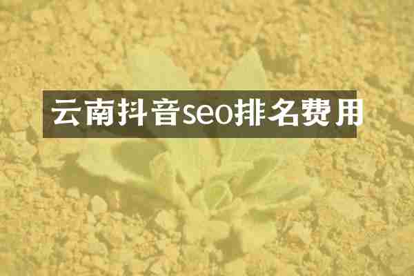 云南抖音seo排名费用