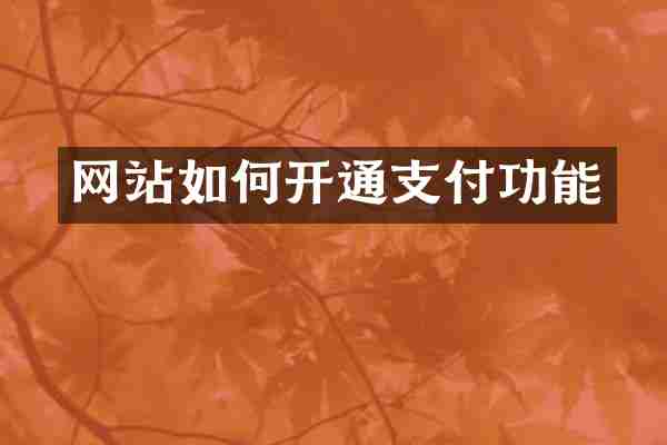 网站如何开通支付功能