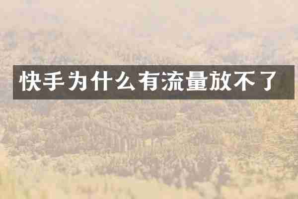 快手为什么有流量放不了