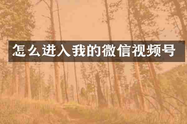怎么进入我的微信视频号