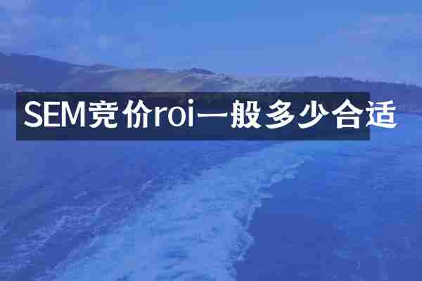 SEM竞价roi一般多少合适