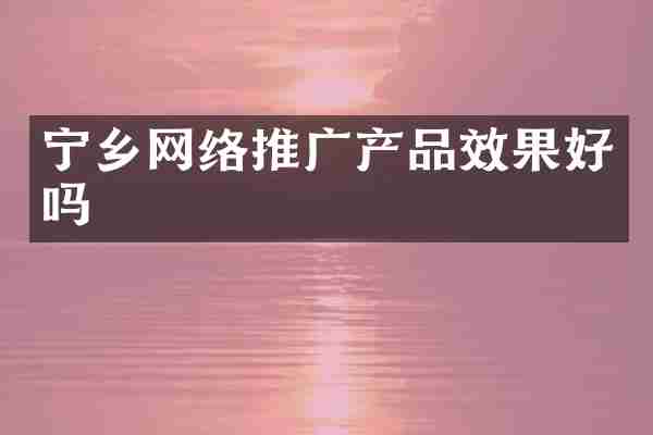 宁乡网络推广产品效果好吗