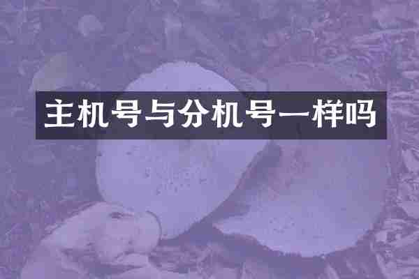 主机号与分机号一样吗