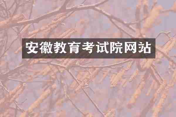 安徽教育考试院网站