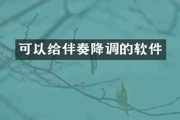 可以给伴奏降调的软件