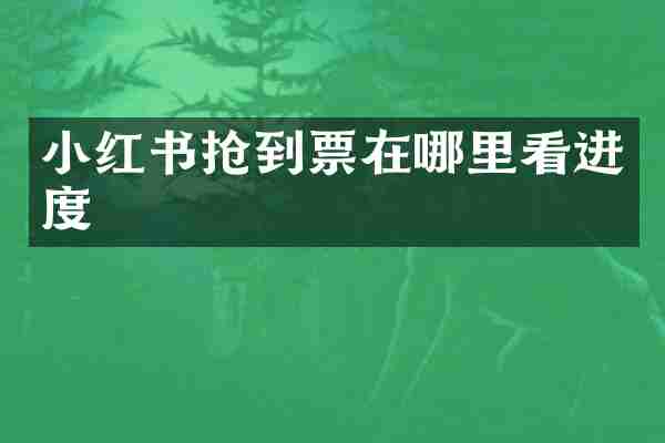 小红书抢到票在哪里看进度