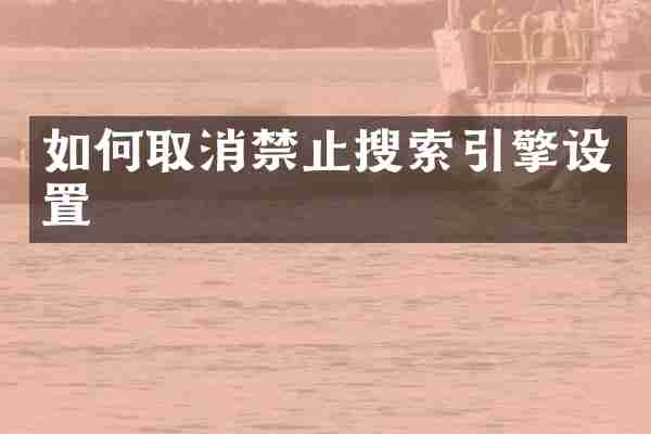 如何取消禁止搜索引擎设置