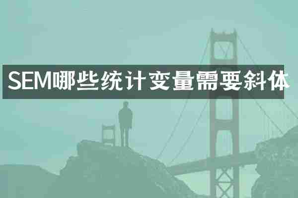 SEM哪些统计变量需要斜体