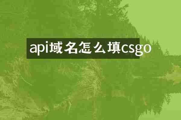 api域名怎么填csgo