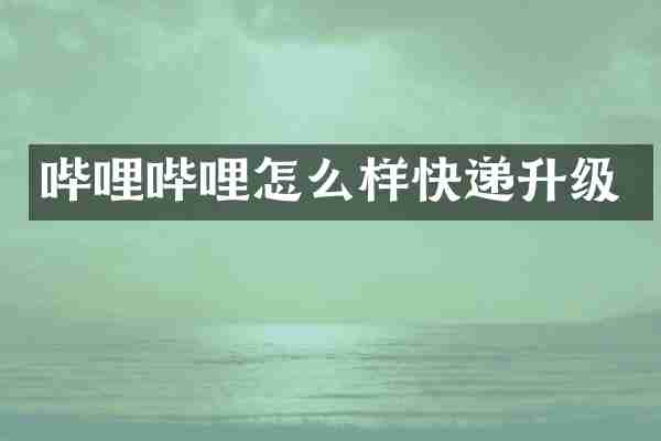 哔哩哔哩怎么样快递升级