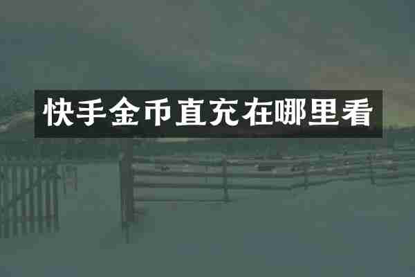 快手金币直充在哪里看