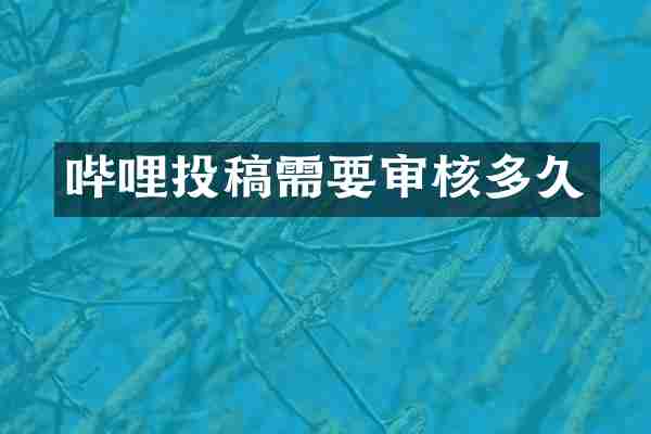 哔哩投稿需要审核多久