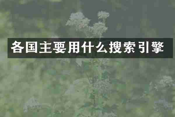 各国主要用什么搜索引擎