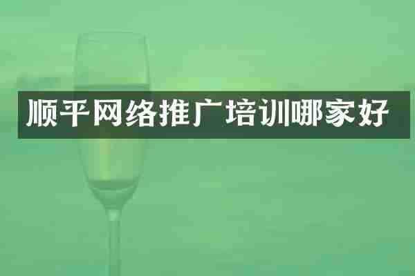 顺平网络推广培训哪家好