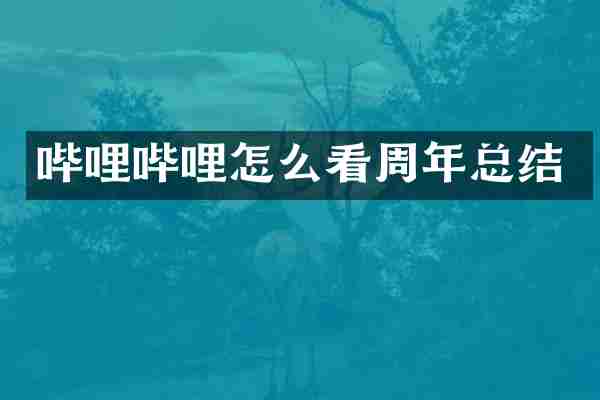 哔哩哔哩怎么看周年总结
