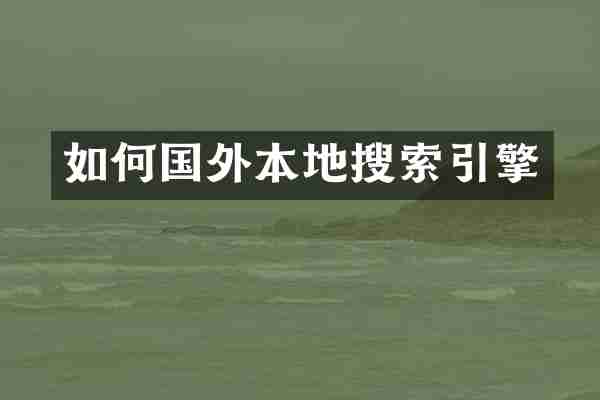 如何国外本地搜索引擎