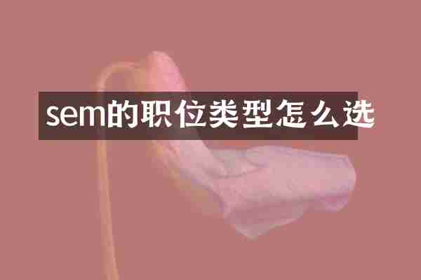 sem的职位类型怎么选
