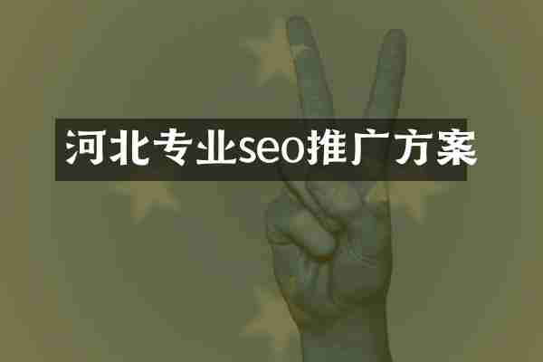 河北专业seo推广方案